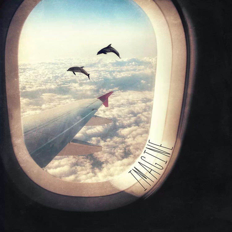 Imagine Flying With Dolphins by Paula Belle Flores wall art