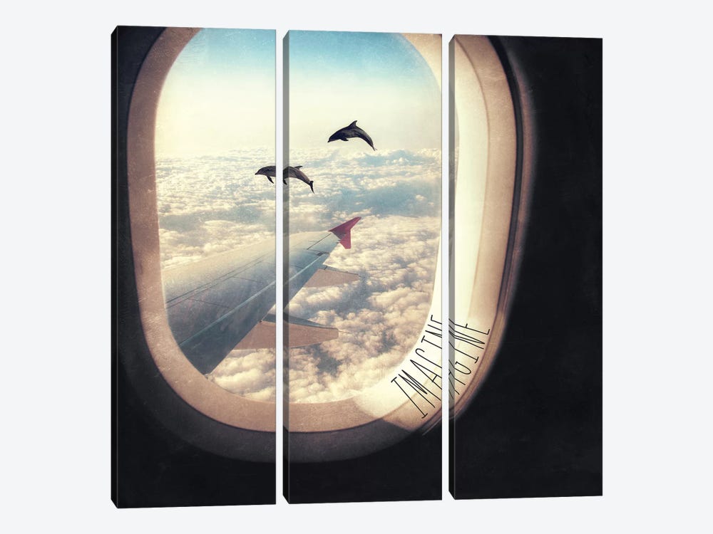 Imagine Flying With Dolphins by Paula Belle Flores 3-piece Canvas Artwork