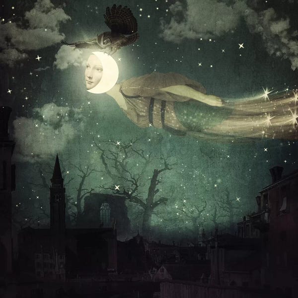 Dreamer: The Owl Bride by Paula Belle Flores