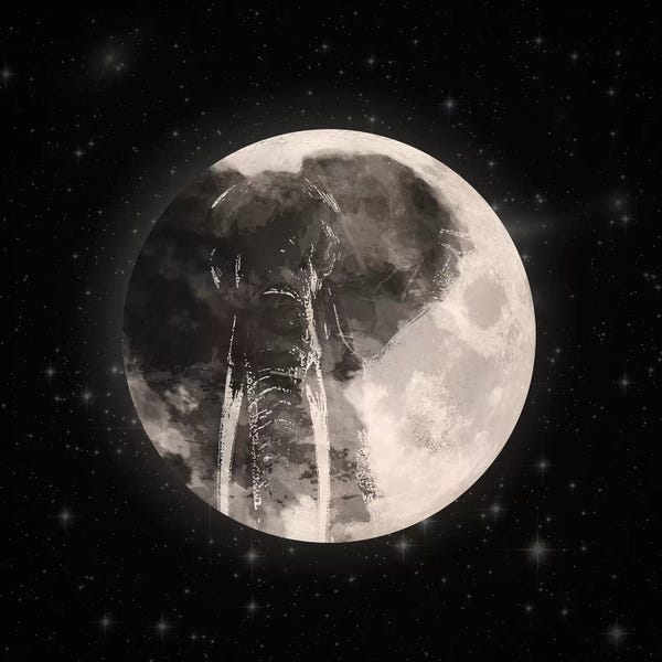 Paula Belle Flores: Elephant In The Moon by Paula Belle Flores
