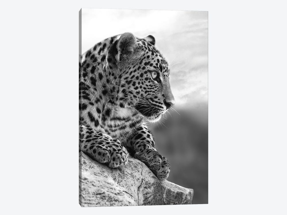 On The Top Of The World by Patrick van Bakkum 1-piece Canvas Art