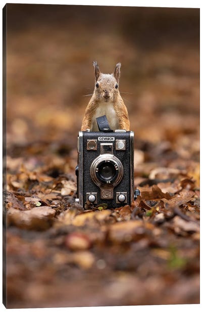 Squirrel Photographer Canvas Art Print - Photography as a Hobby