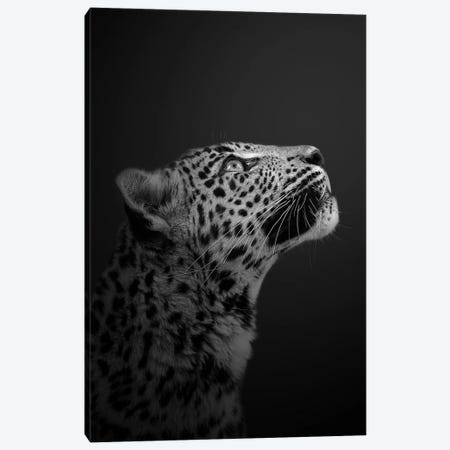 Leopard - Is There More Than Just Us Canvas Print #PBK83} by Patrick van Bakkum Art Print