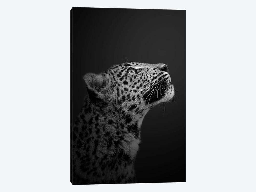 Leopard - Is There More Than Just Us by Patrick van Bakkum 1-piece Canvas Art