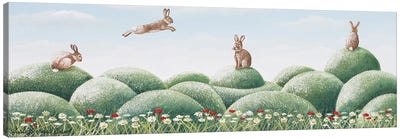 Bunny Hop Canvas Art Print - Hill & Hillside Art