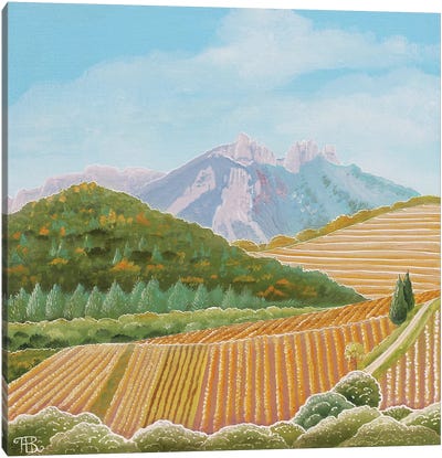 Vignes Et Dentelles Canvas Art Print - Paule Bernard Roussel