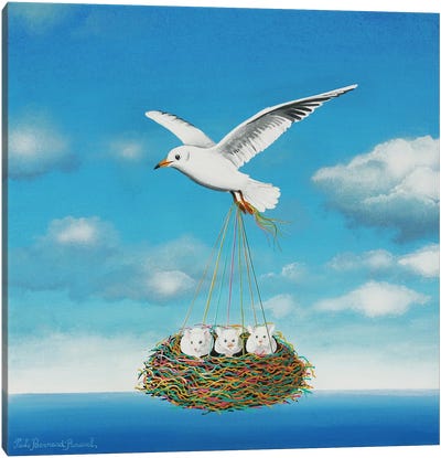 Flight Over A Mouse Nest Canvas Art Print - Gull & Seagull Art