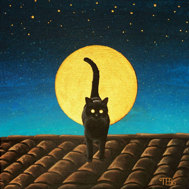 Chat Lunatique