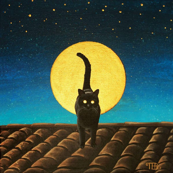 Chat Lunatique