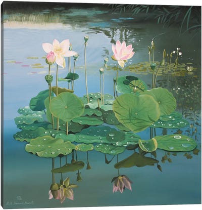 Pink Lotus Canvas Art Print - Paule Bernard Roussel