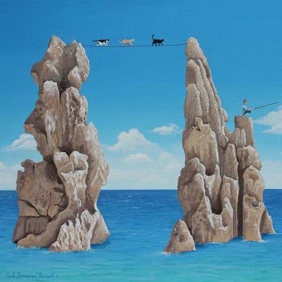 Fishing Line by Paule Bernard Roussel framed wall art