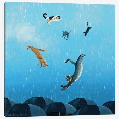 It's Raining Cats And Cats Canvas Print #PBN64} by Paule Bernard Roussel Canvas Print