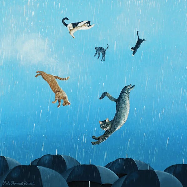 Paule Bernard Roussel: It's Raining Cats And Cats by Paule Bernard Roussel