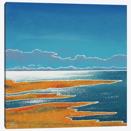 Low Tide Canvas Print #PBN79} by Paule Bernard Roussel Art Print