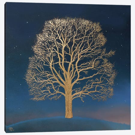 Tree Structure Canvas Print #PBN88} by Paule Bernard Roussel Canvas Artwork
