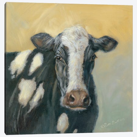 Pretty Cow Canvas Print #PBR20} by Pam Britton Canvas Art