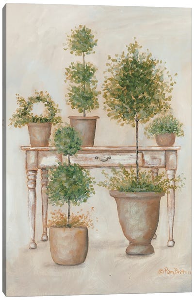Potting Bench & Topiaries II Canvas Art Print - Pam Britton