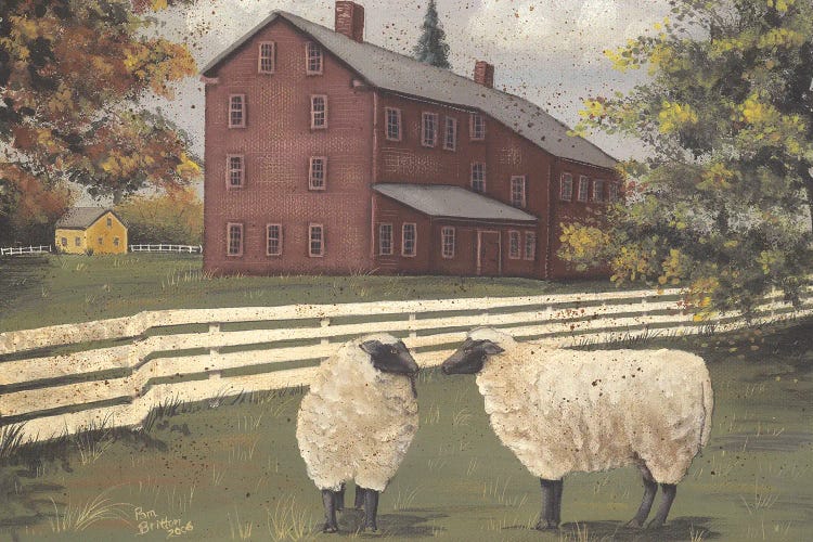 Hancock Sheep