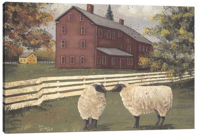 Hancock Sheep Canvas Art Print - House Art