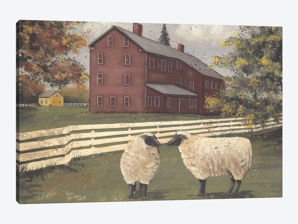 Hancock Sheep by Pam Britton 1-piece Canvas Art Print