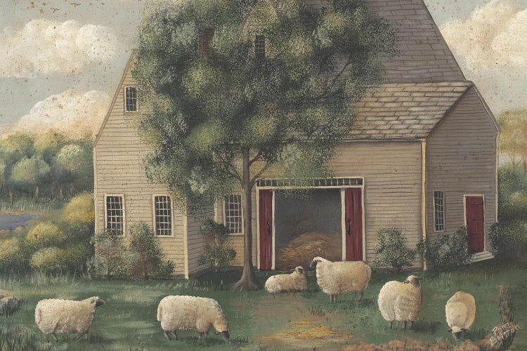 Sheep And House