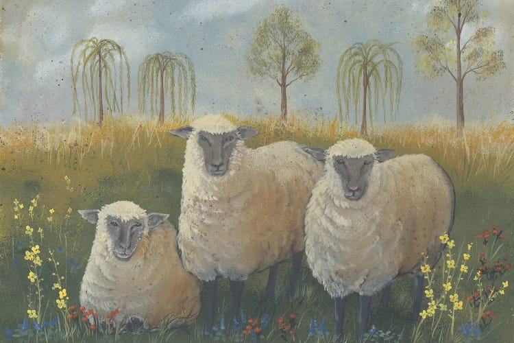 Three Sheep