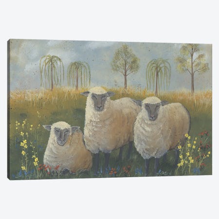 Three Sheep Canvas Print #PBR53} by Pam Britton Canvas Print