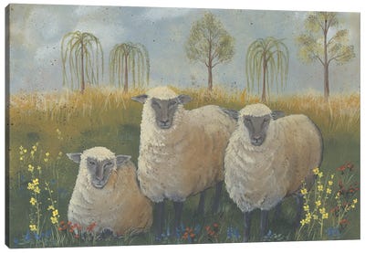 Three Sheep Canvas Art Print - Sheep Art