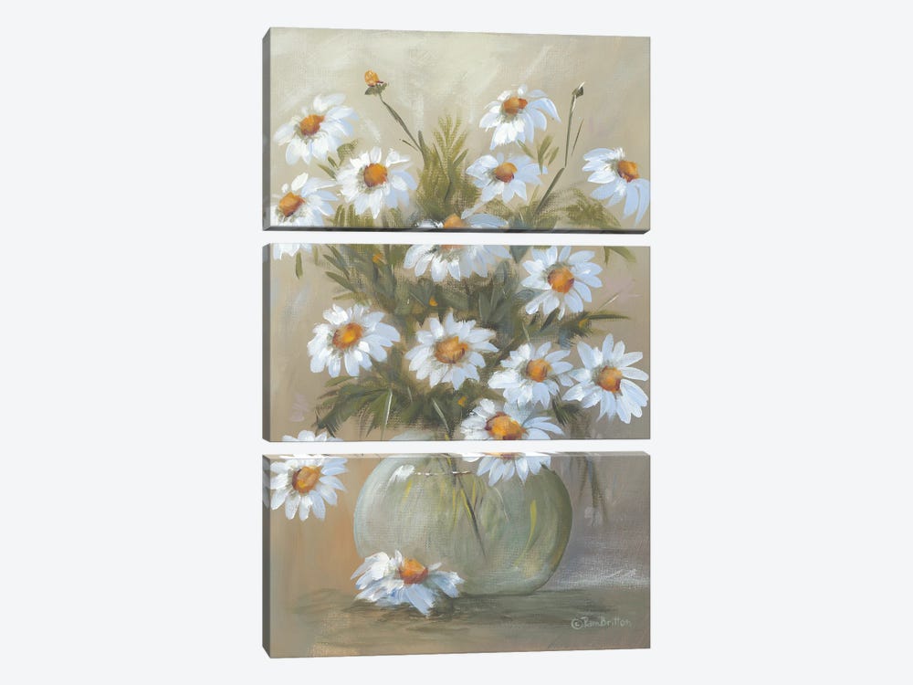 Bowl Of Daisies by Pam Britton 3-piece Canvas Art Print