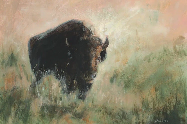 Bison in the Mist by Pam Britton wall art
