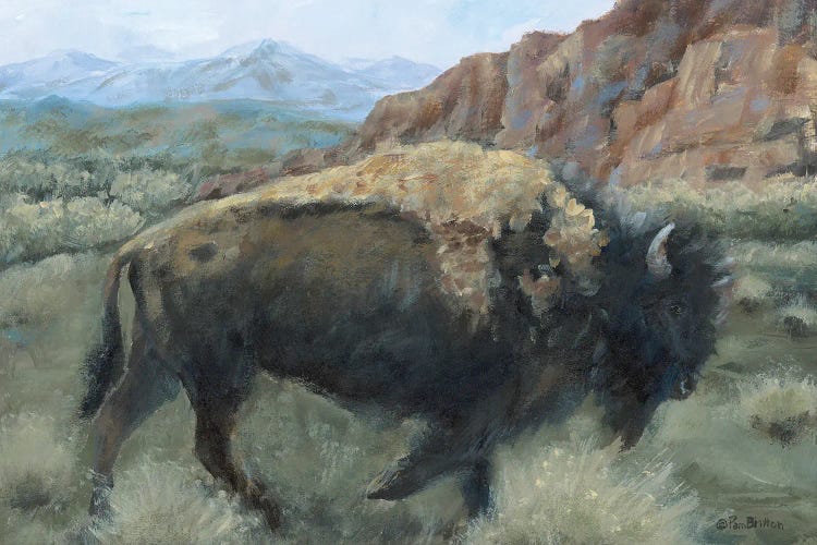 Resident of the Badlands I by Pam Britton wall art