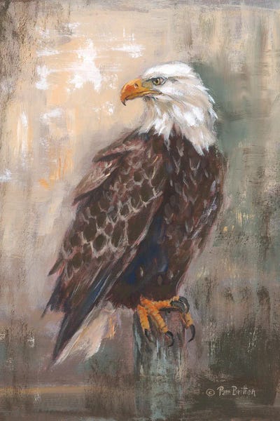 Pam Britton: Panhandle Eagle by Pam Britton