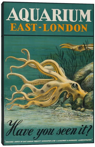 Aquarium, East-London Canvas Art Print - Squid Art