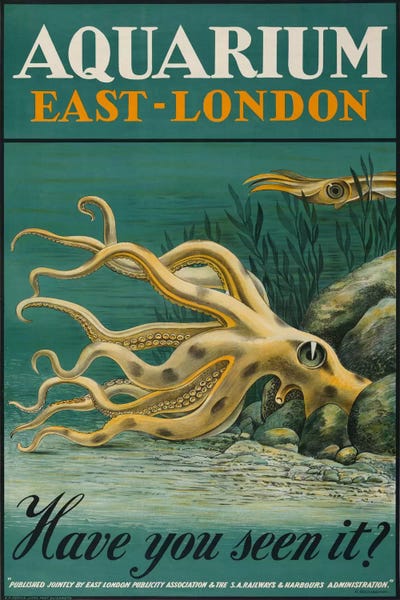 Print Collection: Aquarium, East-London by Print Collection