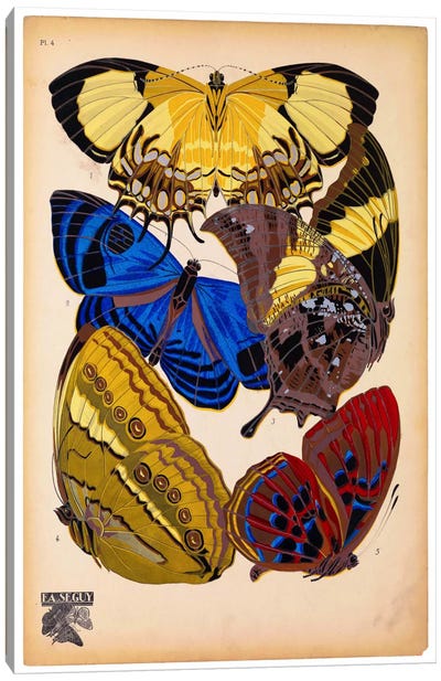 Butterflies Plate 12, E.A. Seguy Canvas Art Print - E.A Séguy