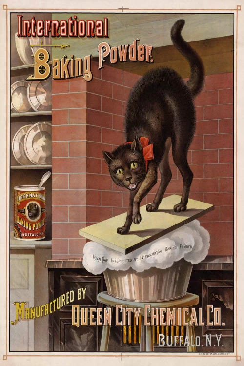 Catastrophe in the Kitchen, 1885 by Print Collection wall art