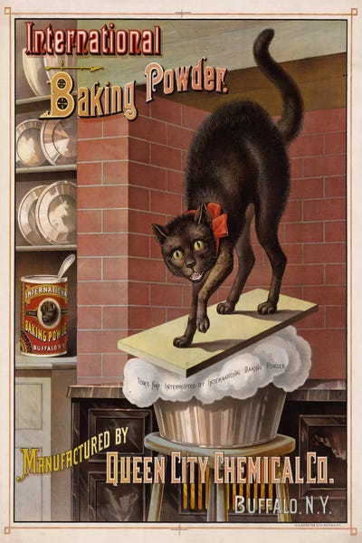 Print Collection: Catastrophe in the Kitchen, 1885 by Print Collection