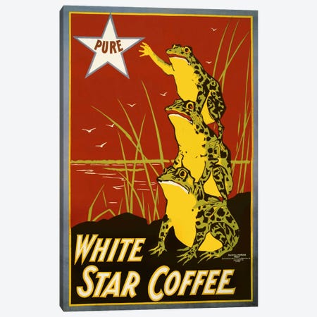 Pure White Star Coffee, Frogs Canvas Print #PCA371} by Print Collection Canvas Print