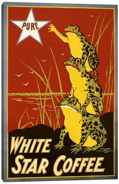 Pure White Star Coffee, Frogs Canvas Art Print - Print Collection