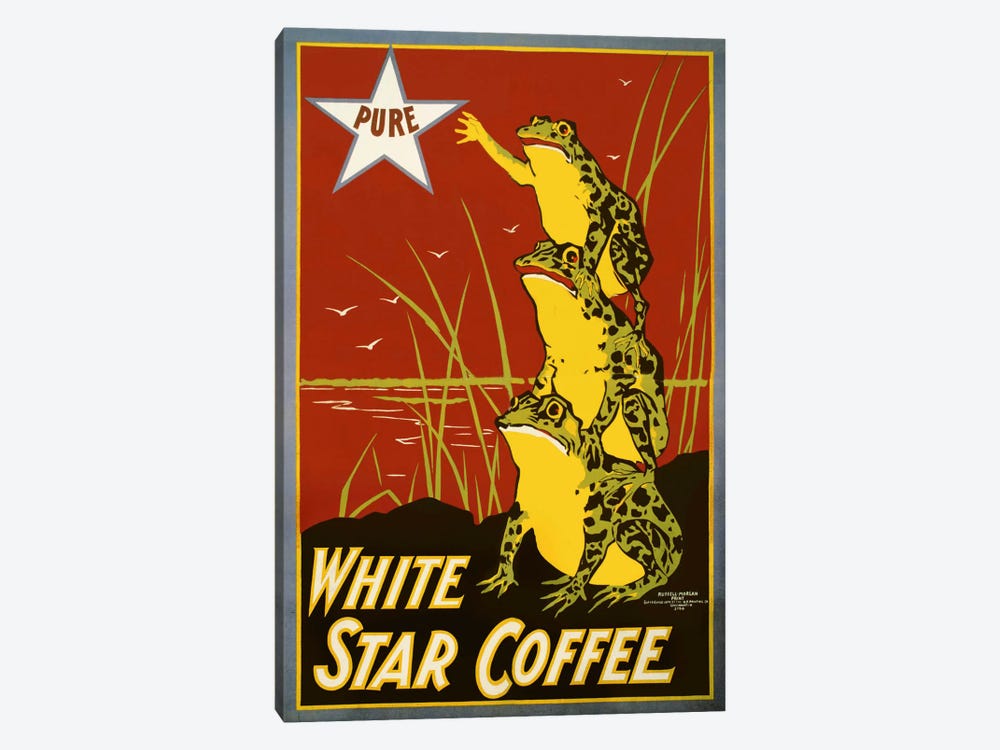 Pure White Star Coffee, Frogs by Print Collection 1-piece Canvas Print