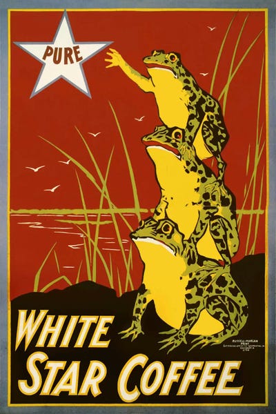 Vintage Kitchen Posters: Pure White Star Coffee, Frogs by Print Collection