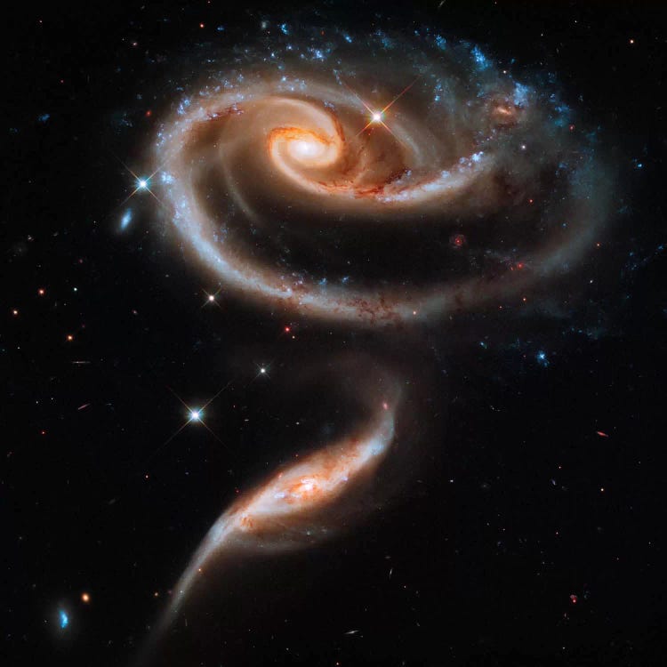 A "Rose" Made of Galaxies Highlights Hubble's 21st Anniversary by Print Collection wall art