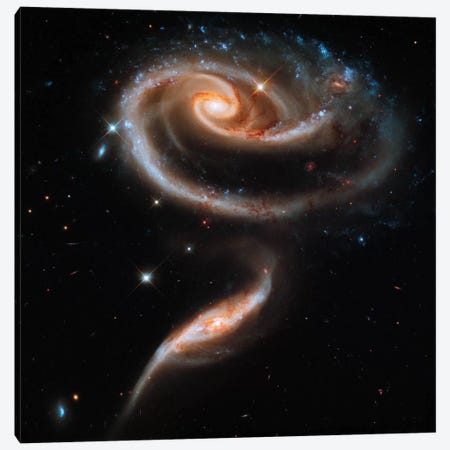 A "Rose" Made of Galaxies Highlights Hubble's 21st Anniversary Canvas Print #PCA404} by Print Collection Canvas Artwork