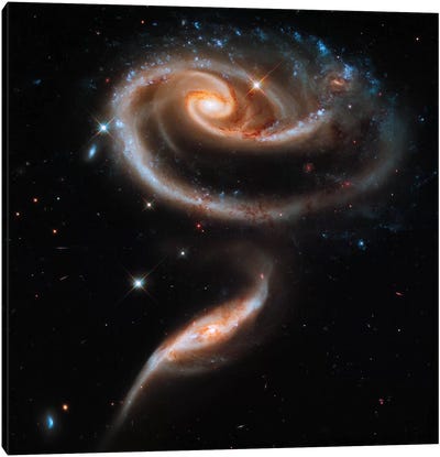 A "Rose" Made of Galaxies Highlights Hubble's 21st Anniversary Canvas Art Print - Best of Astronomy