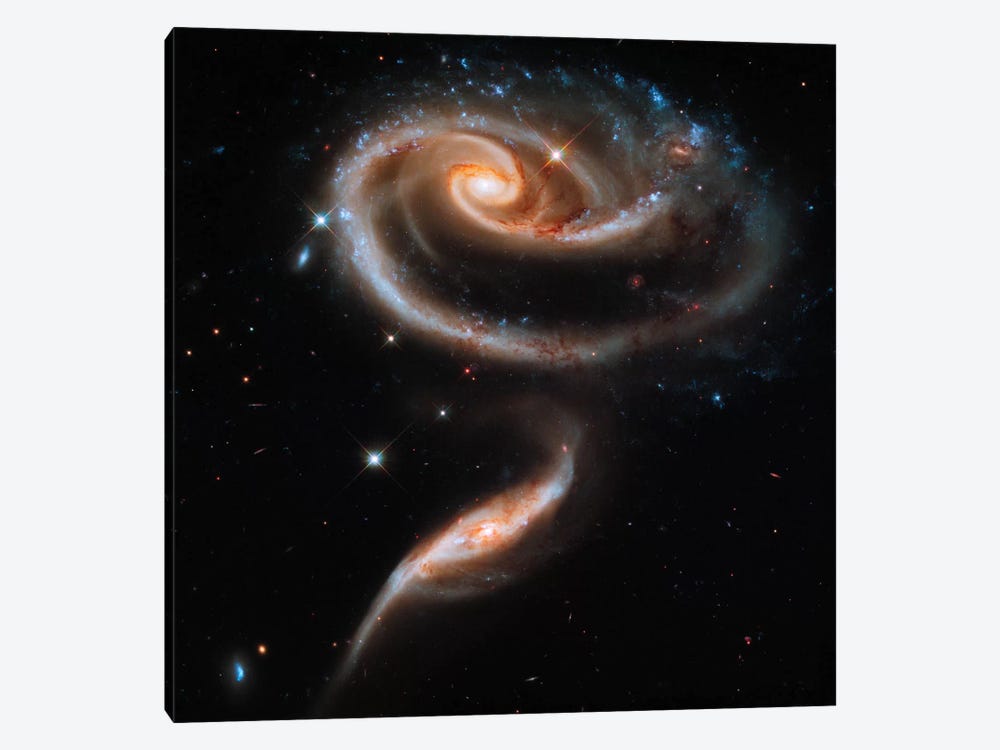 A "Rose" Made of Galaxies Highlights Hubble's 21st Anniversary by Print Collection 1-piece Canvas Art