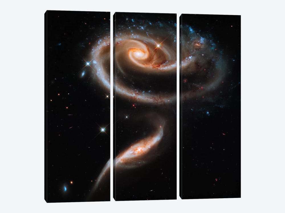 A "Rose" Made of Galaxies Highlights Hubble's 21st Anniversary by Print Collection 3-piece Canvas Wall Art