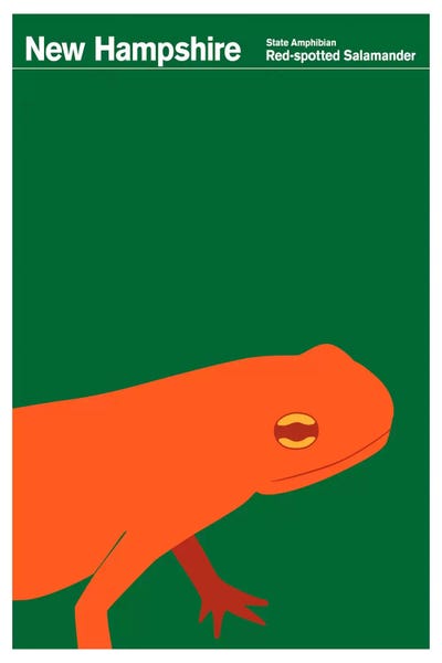 Print Collection: State Posters NH by Print Collection
