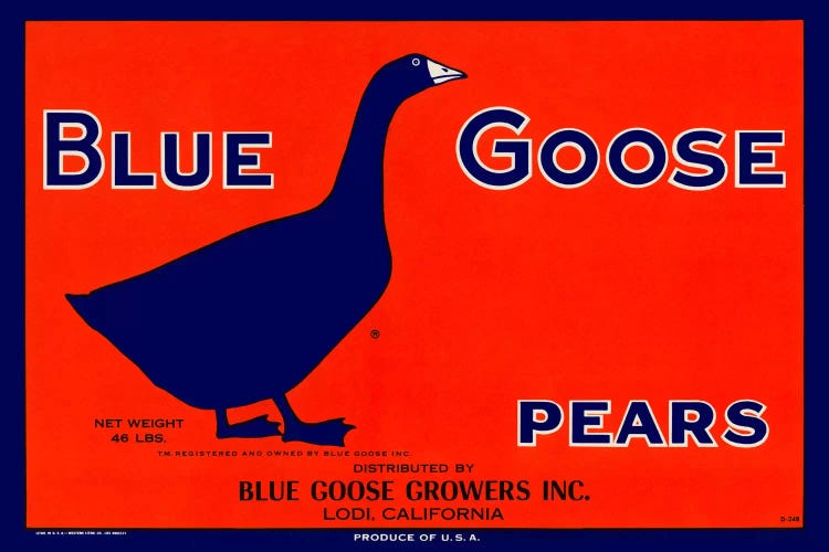Blue Goose Pears by Print Collection wall art
