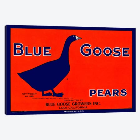 Blue Goose Pears Canvas Print #PCA53} by Print Collection Art Print