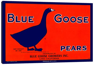 Blue Goose Pears Canvas Art Print - Goose Art